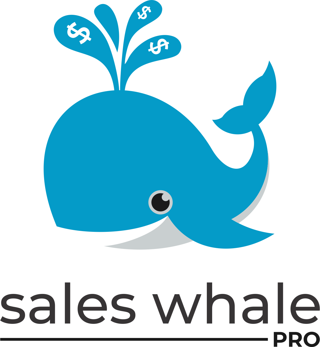 Interviewing Dealbreakers & Hacks Sales Whale Pro